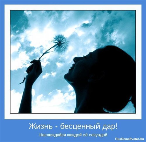 0a 2037fae 68ebef 9b 04bd 03c 7b 3de 03e